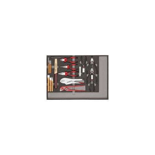 Werkzeugsatz Zangen + Schlagwerkzeuge, 29-teilig, Werkzeug-Set (R22350001 ), in CT-Modul
