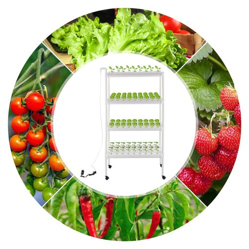 Hydroponisches Grow-Kit, Hydroponische Pflanzausrüstung, Hydroponisches Anbausystem mit Grow-Körben