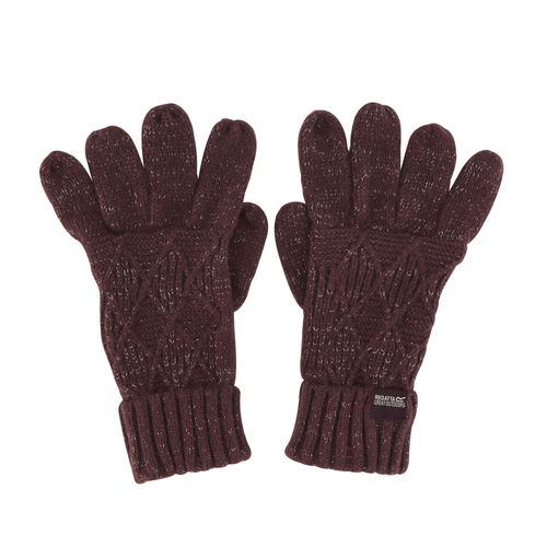 Regatta Dames/dames Winterhandschoenen (Paars)