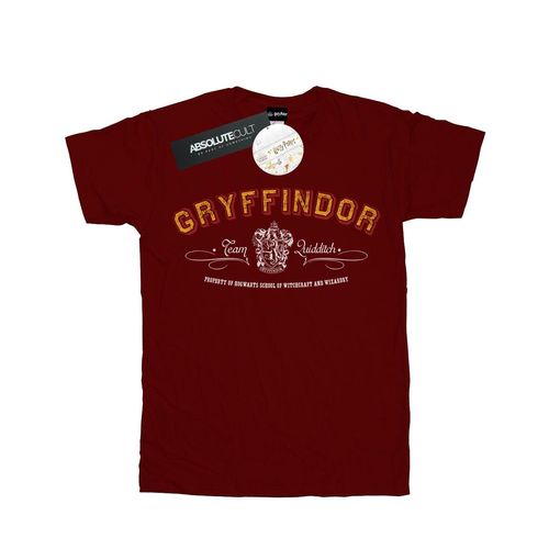 Harry Potter Jongens Gryffindor Team Zwerkbal T-Shirt (Bourgondië)