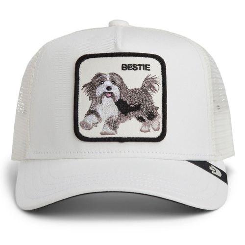 Goorin Bros. Pet