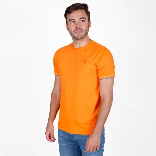 Q1905 T-shirt dronten -