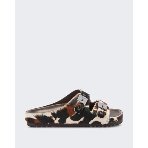 Scholl Dames kim