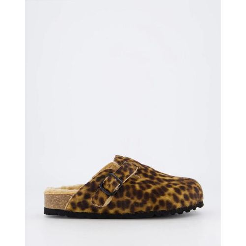 Scholl Dames fae new f