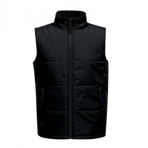 Regatta Opvallende Heren Toegang Geïsoleerde Bodywarmer (Zwart/Zwart)