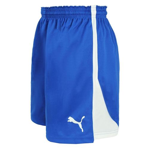 Puma V5.06 Handbal Dames Blauw/Wit Korte Broek