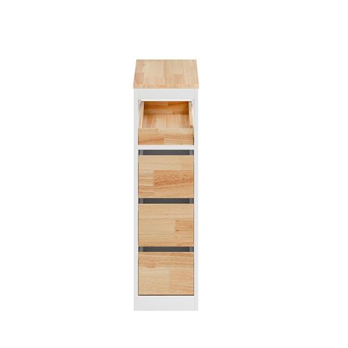 SCHRANK zur Toiletten-Nutzung BZR54-III-WN