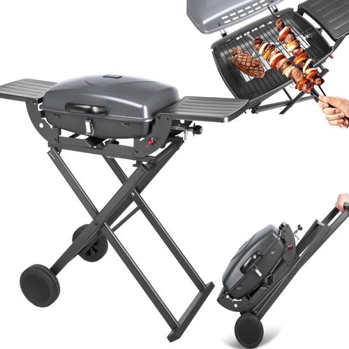 Teesa BBQ-1000 Touristen-Gasgrill 3,6 kW