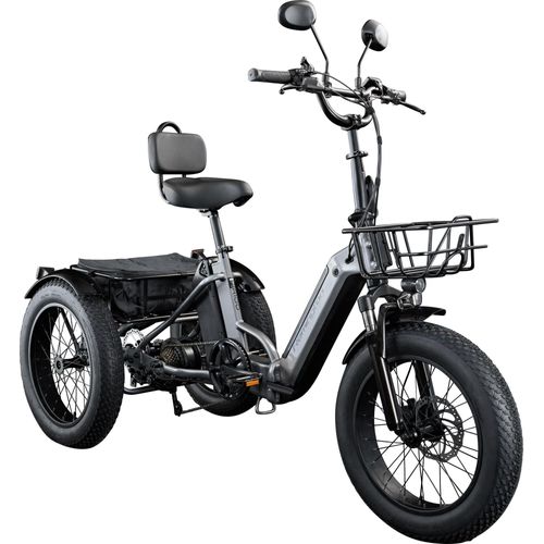 Remington R100 E Bike Dreirad 20 Zoll Elektrodreirad Pedelec City mit tiefem Einstieg klappbar schwarz/grau