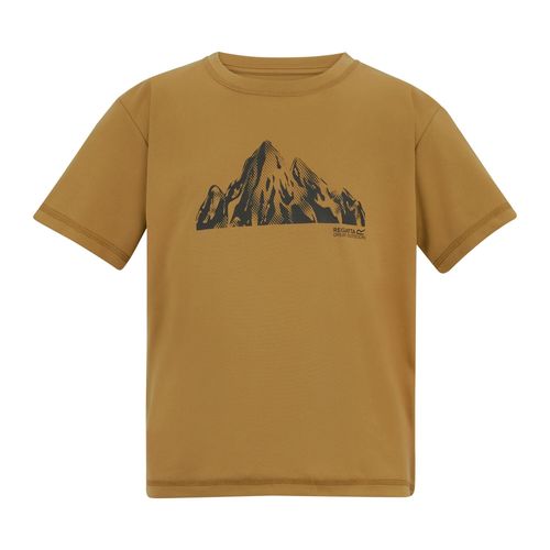 Regatta Kinderen/Kinderen Alvarado T-shirt met rugprint (Hout Bruin)