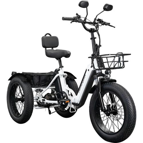 Remington R100 E Bike Elektro Dreirad 20 Zoll Elektrodreirad mit 2 Akkus bis 120 km Pedelec City mit tiefem Einstieg klappbar