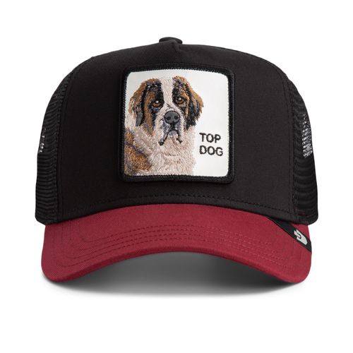 Goorin Bros. Pet