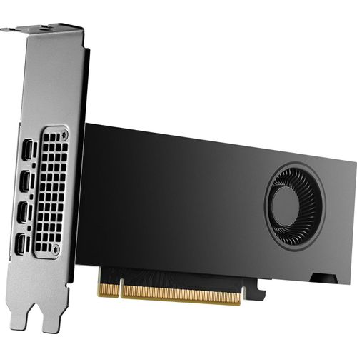 HP NVIDIA RTX - Grafikkarte - NVIDIA RTX 2000 Ada