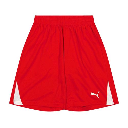 Puma Kinderen/Kinderen Team Shorts (Rood)