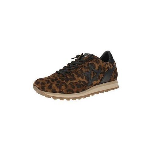 Cetti C-1259 SRA INV27 - Damen Sneaker - Titus-Tabac