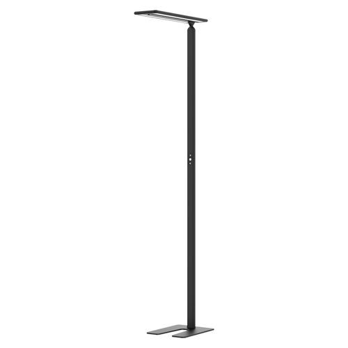 Hansa Stehleuchte Larimar je Lichtquelle: 58 kWh/1.000h LED schwarz