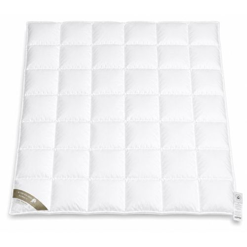 Hofmann Franken Daunenbett Daunendecke 6x7, 200x220 5 cm Außensteg 100% Daunen