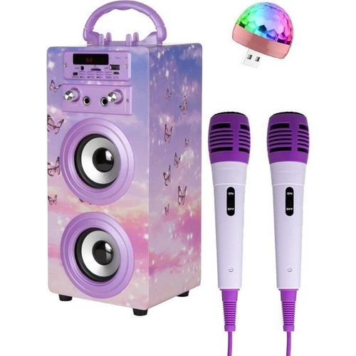 Karaoke-Set für Erwachsene mit 2 Mikrofonen