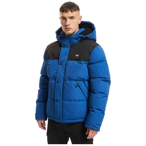 Mantel Dickies DICKIES Vista al glaciar - Abrigo für Herren