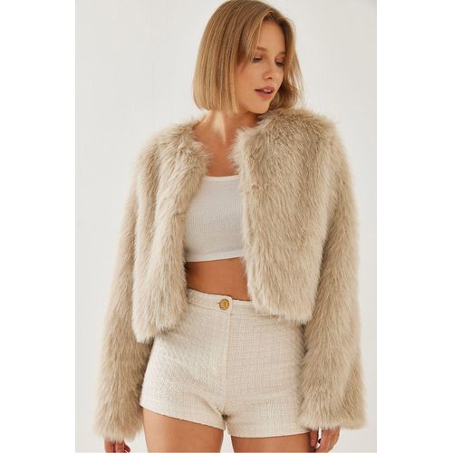 Boxy Crop Nepvachtjas