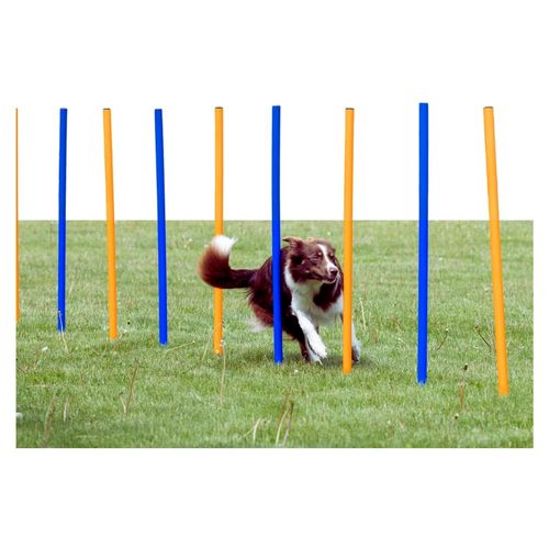 Agility Slalom, 12 Stangen, 115×ø 3 cm