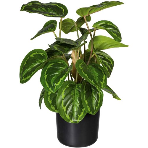 Künstliche Zimmerpflanze CREATIV GREEN "Maranta", grün, H:45cm, Kunststoff, Kunstpflanzen, Künstliche Zimmerpflanze