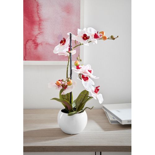 Kunstorchidee OTTO HOME "Ernestine", rosa, H:42cm, Kunststoff, Kunstpflanzen, Kunstpflanze, im Topf