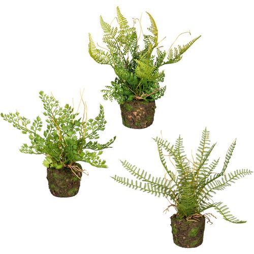 Künstliche Zimmerpflanze CREATIV GREEN "Set aus Farnpflanzen auf Wurzelballen", grün, H:22cm, Kunststoff, Kunstpflanzen, Künstliche Zimmerpflanze, 3er Set
