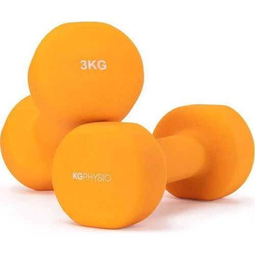 Famanu Hantelset 2 Stück mit A3 Übungsposter - 1-10 kg Gewichte für das Training zu Hause