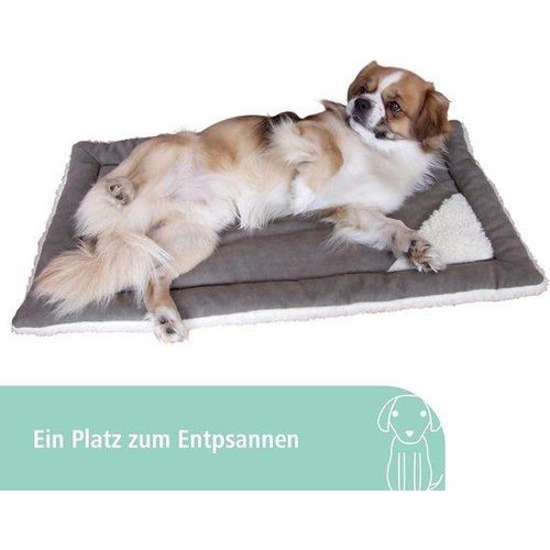 Famanu Katzenbaum - Klimm-Möglichkeiten, Krallenpflege, Entspannung