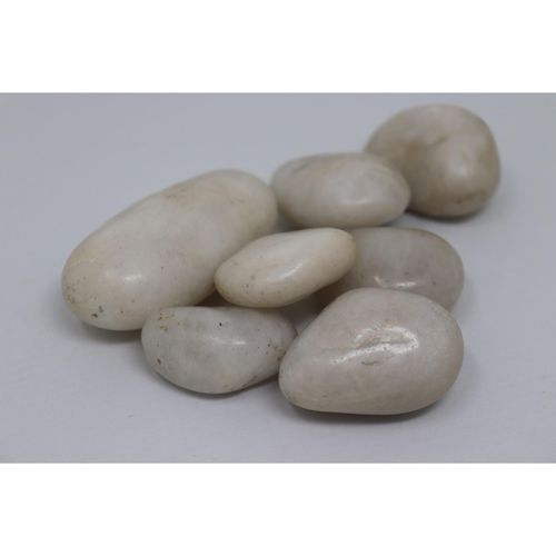Aquagart 40kg Polierter Kiesel Flusskiesel Kieselsteine Gartenkies Zierkies weiß