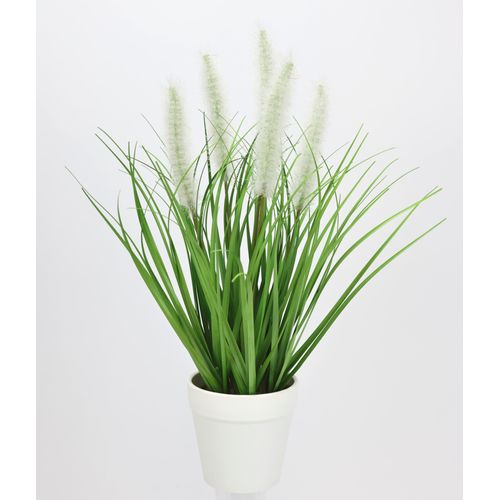 Kunstpflanze I.GE.A. "Fuchsschwanzgras im Topf", weiß, B:14cm H:35cm L:14cm, Kunststoff, Kunstpflanzen, Kunstpflanze