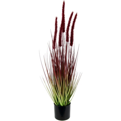 Kunstpflanze I.GE.A. "Fuchsschwanzgras", rot, B:16cm H:65cm, Obermaterial: 90% Kunststoff, 10% Polyester, Kunstpflanzen, Kunstpflanze, Im Topf