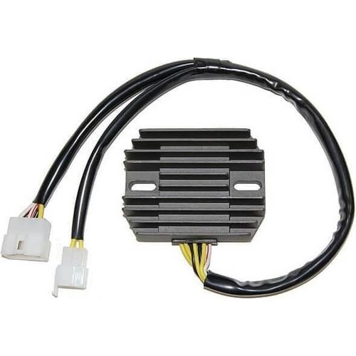 ElectroSport Laderegler ESR 310 für XS 1100 S - 70 KW