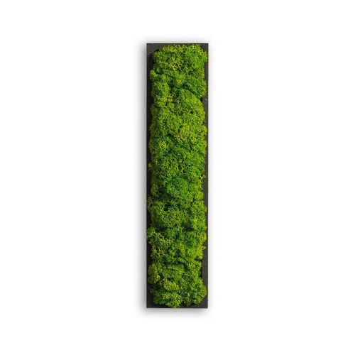 StyleGREEN Moosbild , Grün , Naturmaterialien , Kork , 26x6x4 cm , einfache und schnelle Anbringung, pflegefrei – nicht giessen oder besprühen, keine Beleuchtung notwendig , Bilder & Rahmen, Bilder, Wanddekoration