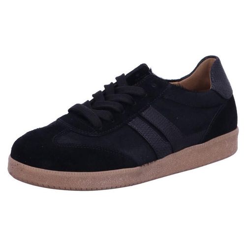 Gabor Damen Sneaker Low 51952-4.5, 51952-5, 51952-5.5, 51952-6, 51952-6.5, 51952-7, 51952-7.5, 51952-8, 51993-4, 51993-4.5, 51993-5, 51993-5.5, 51993-6, 51993-6.5, 51993-7, 51993-7.5, 51993-8, 51993-8.5, 51993-9, 52022-4.5, 52022-5, 52022-5.5, 52022-6, 52022-6.5, 52022-7, 52022-7.5, 52022-8, 52032-4, 52032-4.5, 52032-5, 52032-5.5, 52032-6, 52032-6.5, 52032-7, 52032-7.5, 52032-8, 52032-8.5, 52032-9