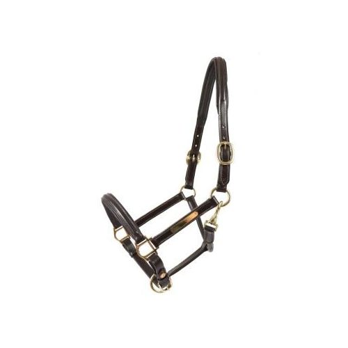 Hans Melzer Horse Equipment Hans Melzer Halfter Sahrendorf braun/messing Pony