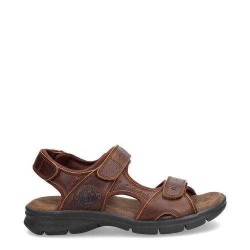 Salton Basics C4 leren herensandalen
