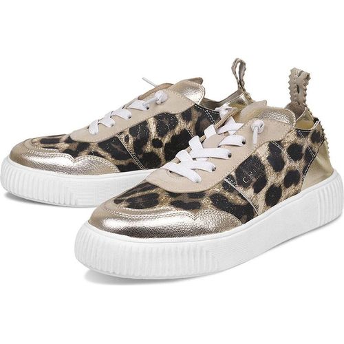 Crickit Damen Schuh Oakli – 39