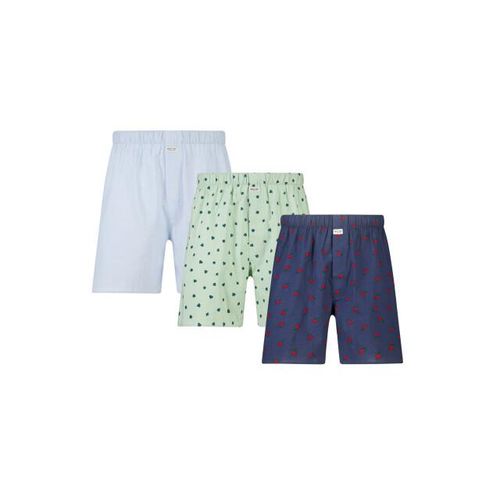 America Today Thomas 3pack