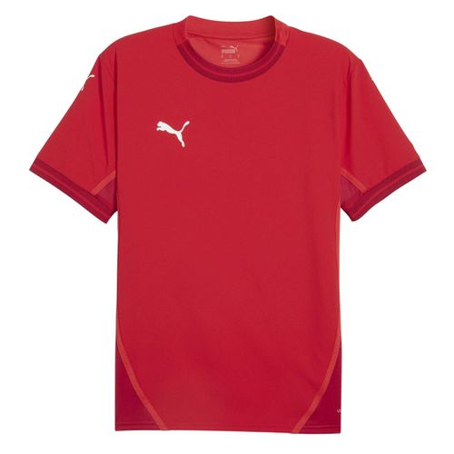 Puma Heren TeamFinal Jersey T-Shirt (Rood/Wit)