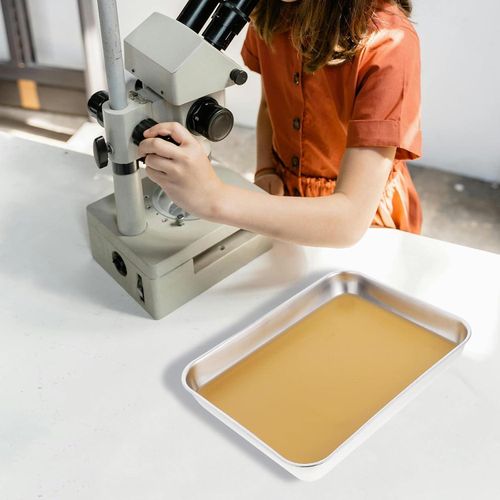 Edelstahl-Sezierschale mit Wachsauskleidung für wissenschaftliche Labore und Biologieunterricht