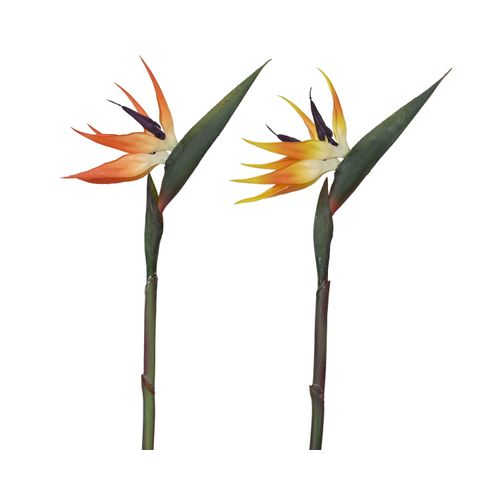 Kunstblume STRELIZIE