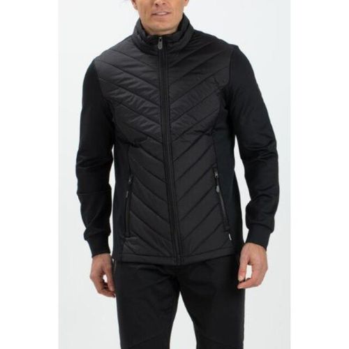 Falcon Hardy hardy-b001