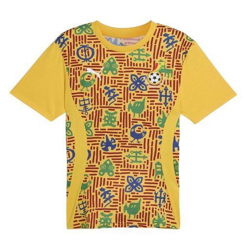 Puma Herenvoetbalshirt Ghana (voor de wedstrijd) (Geel)