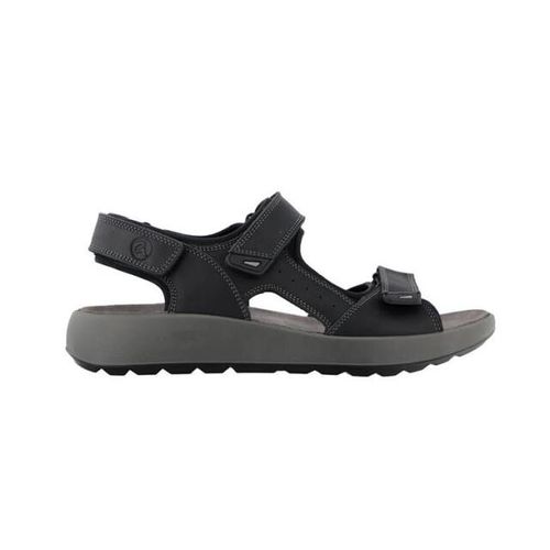 Ara 11-21506 piero