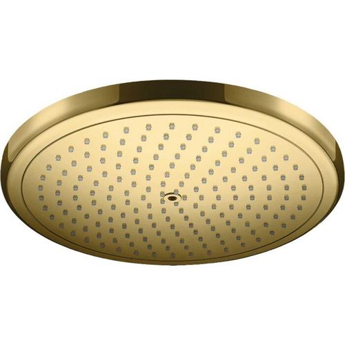 hansgrohe 26220990 1jet, 15,6 l/min, polished gold optic
