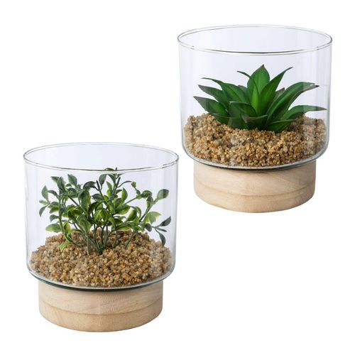 Kunstpflanze CREATIV GREEN "Sukkulenten im Glasgefäß", grün, H:12,5cm Ø:13cm, Kunststoff, Kunstpflanzen, Kunstpflanze, mit 2 verschiedenen Sukkulenten