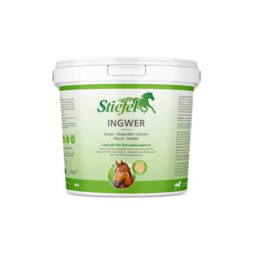 Stiefel Ingwer 1 kg