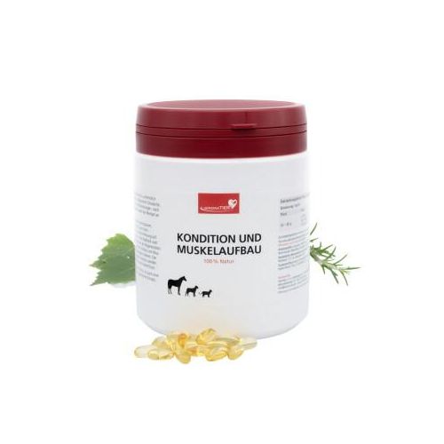 HerzensTier Kondition und Muskelaufbau 250 ml